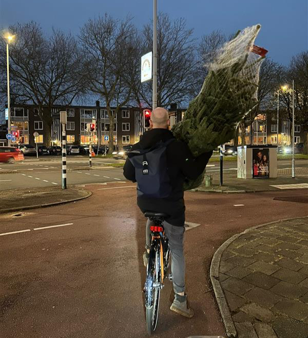 Casey hauling his family's Christmas tree